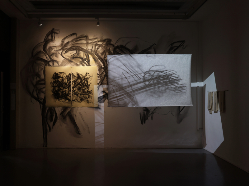 Installation consisting of projection, a lithograph diptych, a takeaway text and a charcoal wall drawing