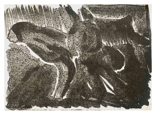A black and white ball grained plate lithograph inspired by drawings made in response to 'More Blacks, More Dogs, More Irish
